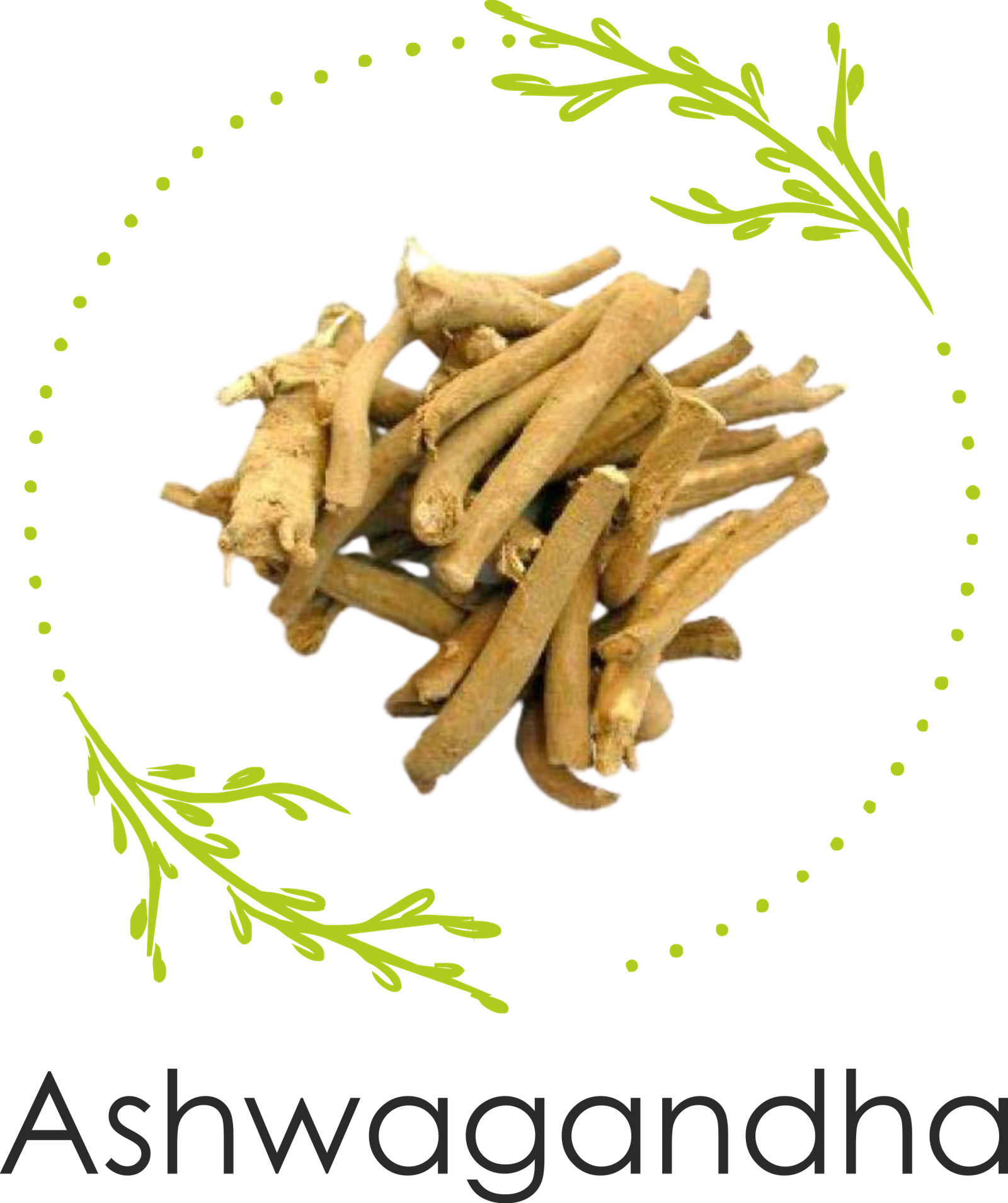 Helpful in Gout related problems due to its anti-inflammatory properties.